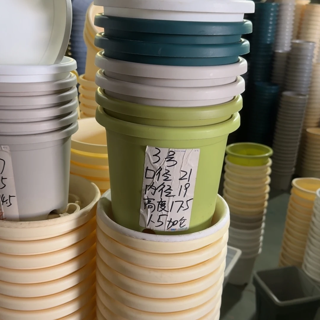 四季3#口径21无拖果绿10个