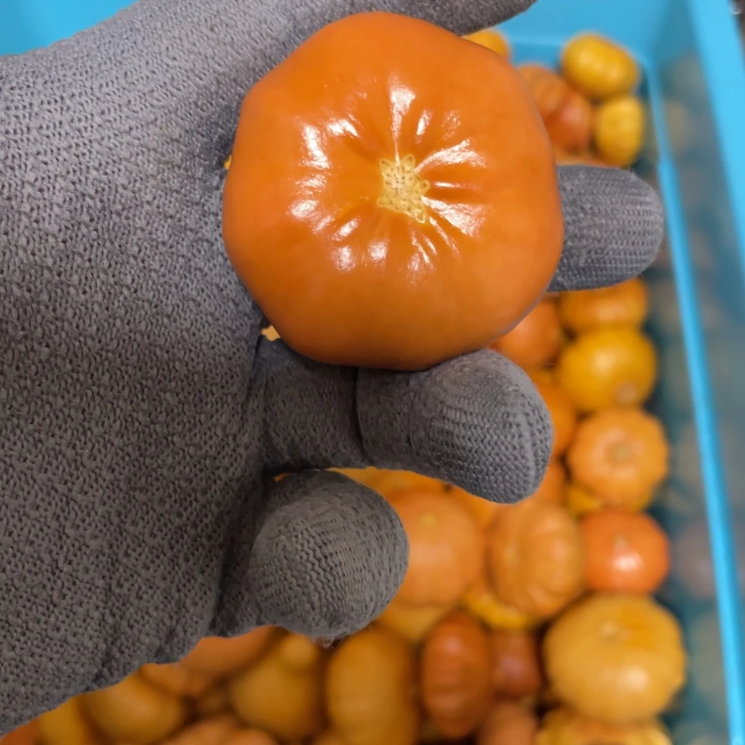 a***饺福利不退换33333333325555555