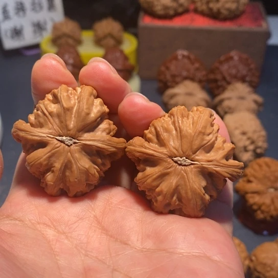 把件文玩核桃文玩白狮子39尺02