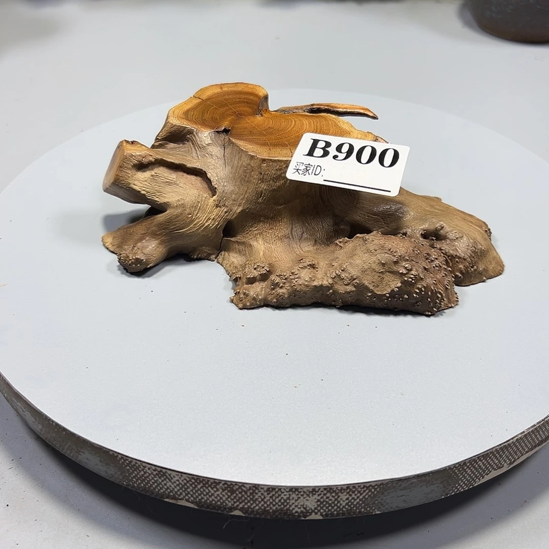 大果紫檀（缅甸花梨）老*张