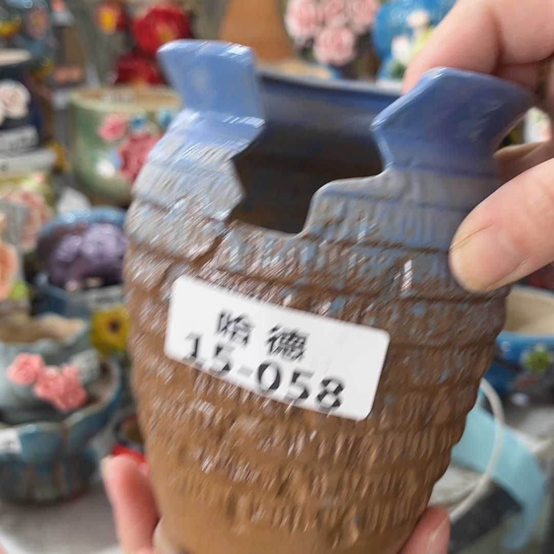 【闪购商品】红陶1558