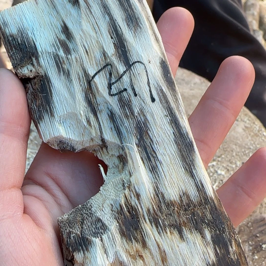 树脂制品42号奇楠原木一个