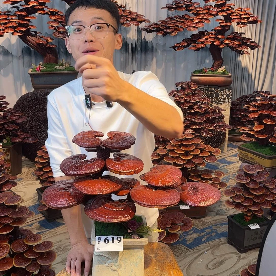 无花朵888888888888