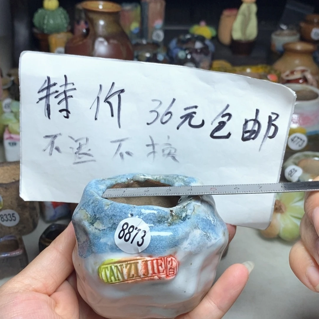 拍5送一个小礼物