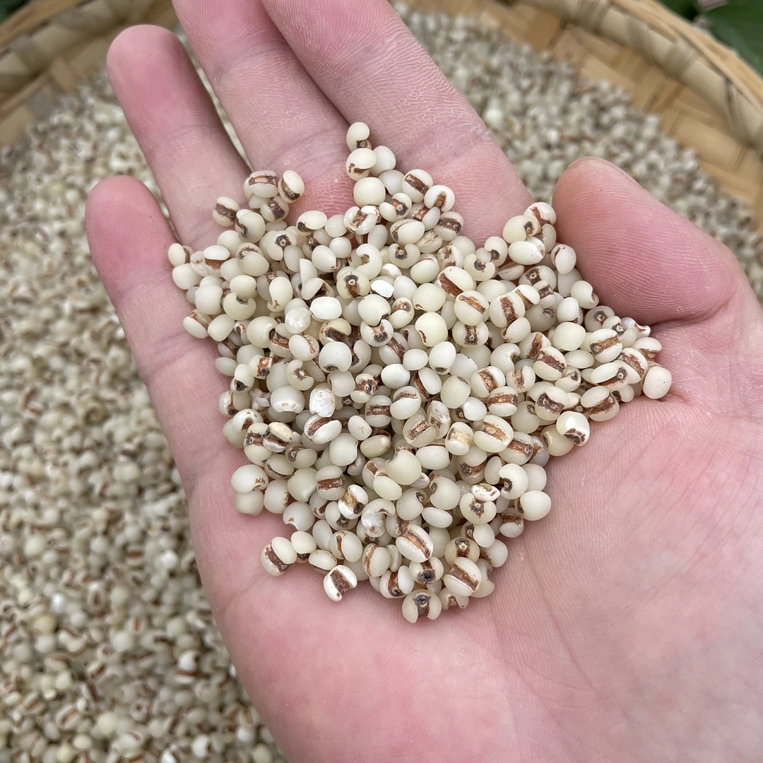 阿牛甄选优质薏仁米净重500克