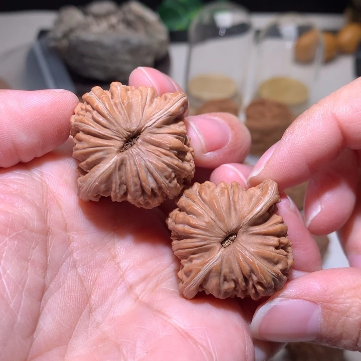 文玩核桃把件平谷楼