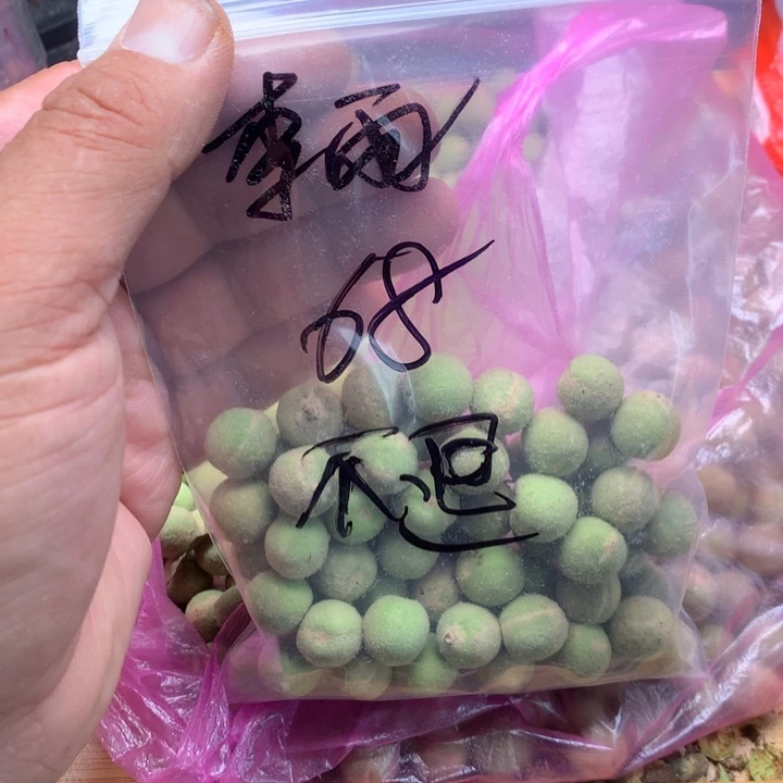 李***雨文玩核桃吊坠野生精品小核桃散籽
