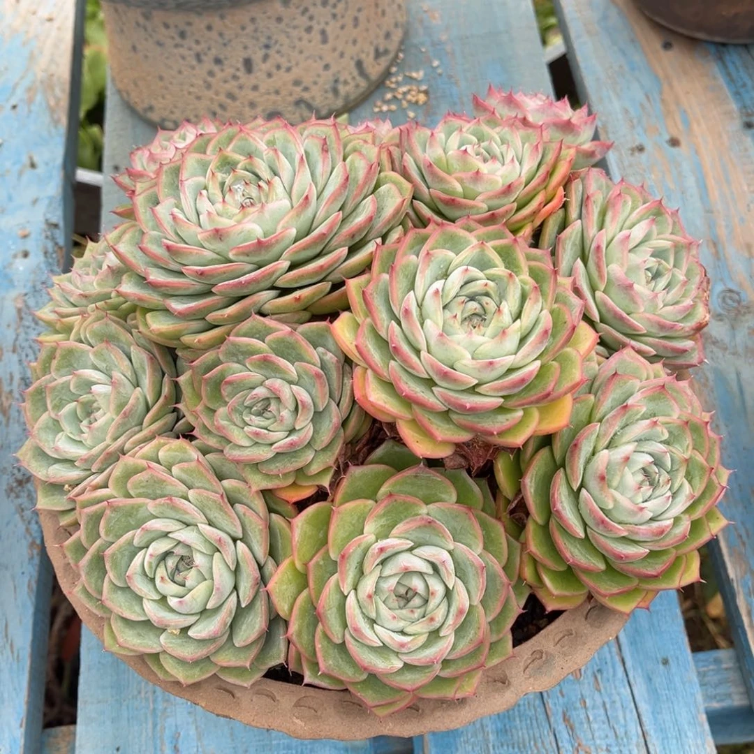 000000000000000000000