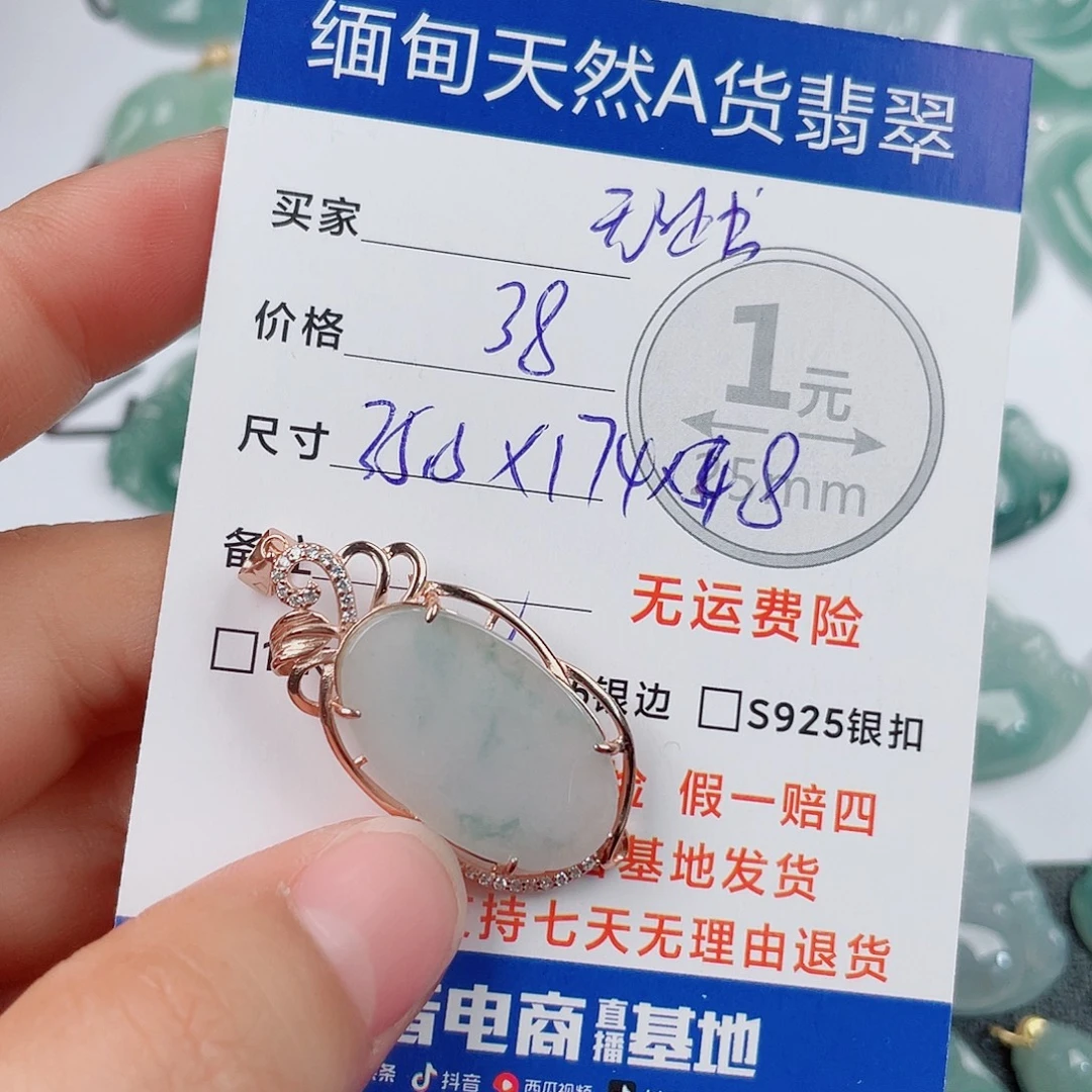 翡翠银S925镶嵌颈饰翡翠