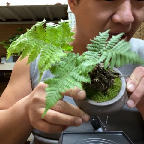 红陶一*一物一拍所见即所得243