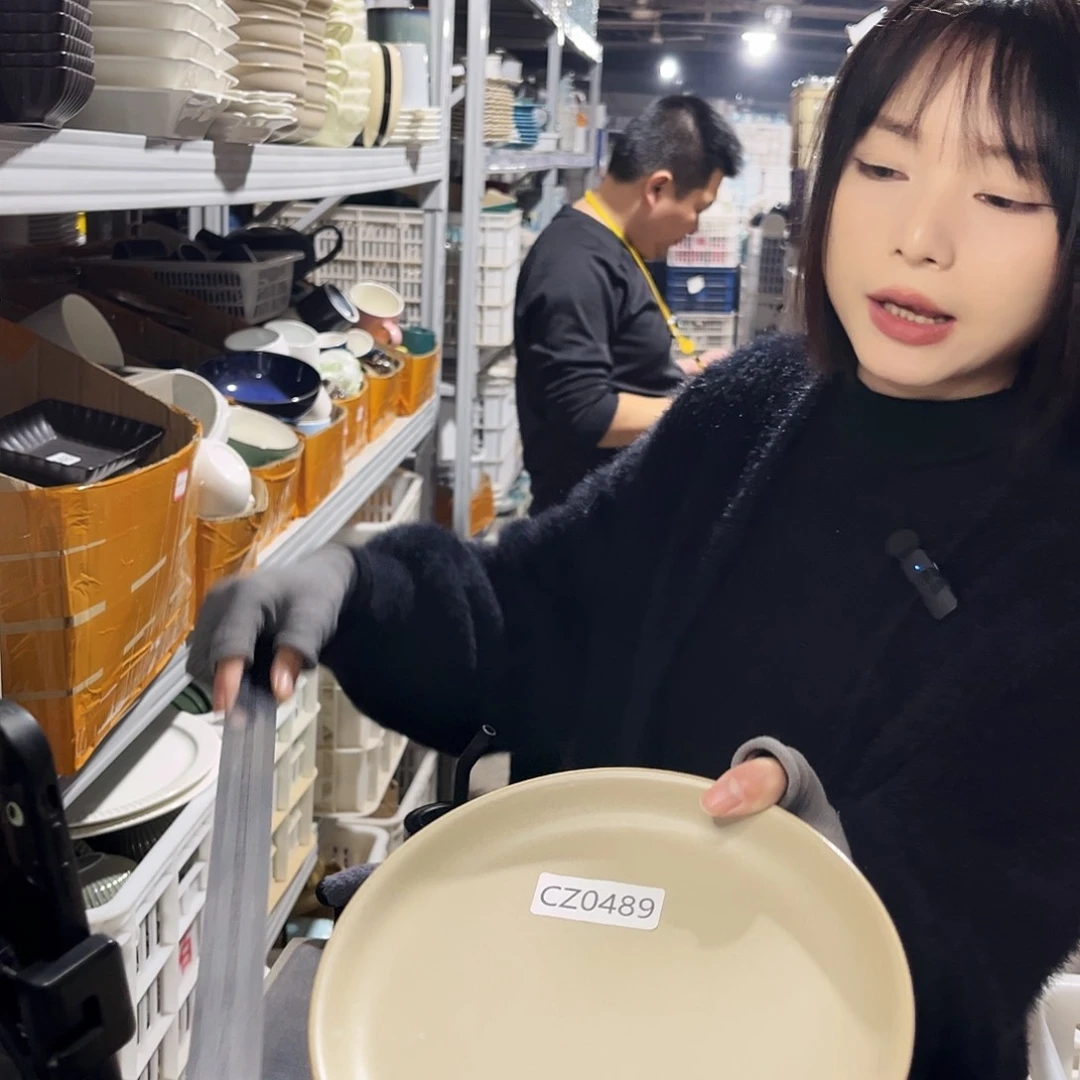 瓷片0489。             2个