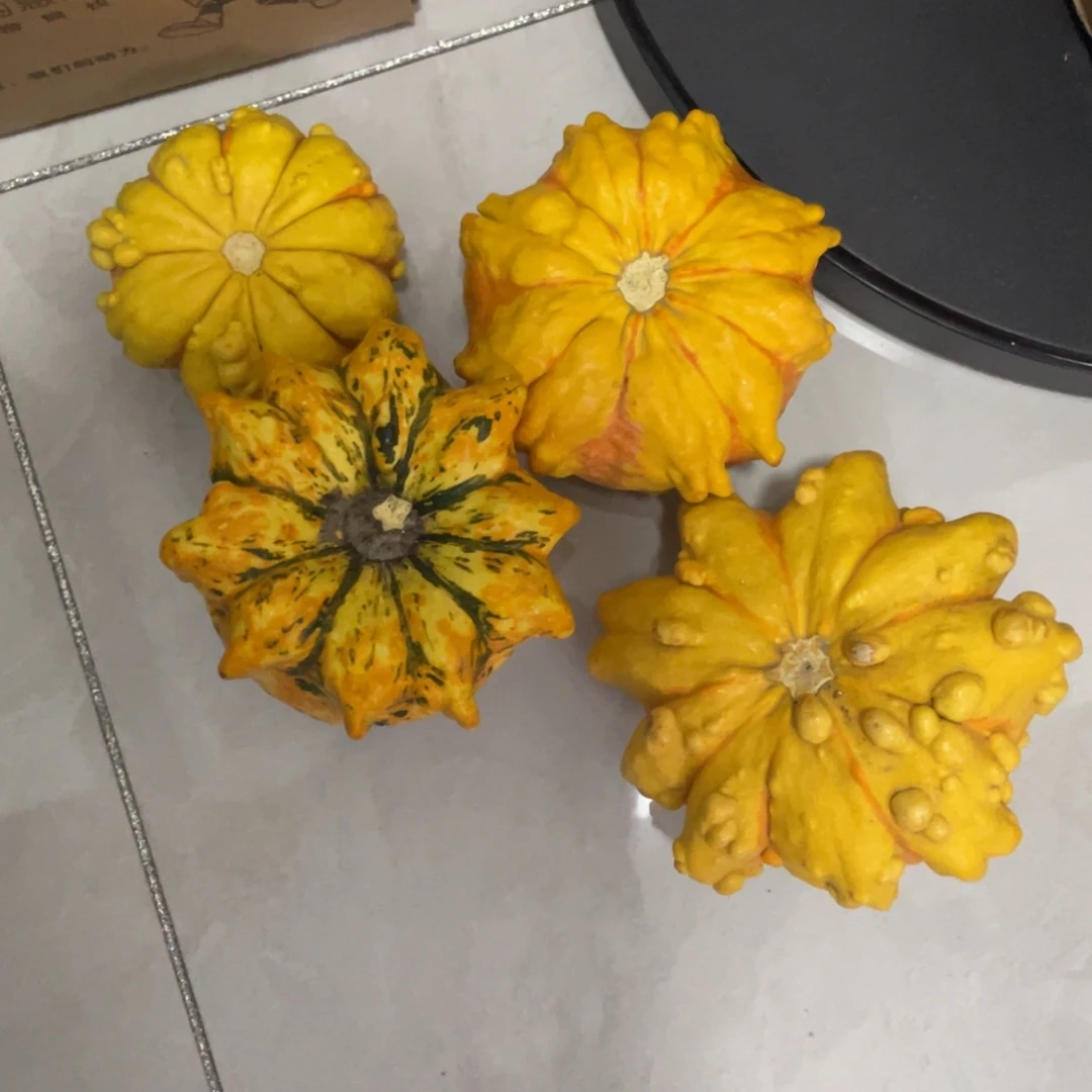 乔***琳无花朵乔琳哈哈哈哈哈哈哈