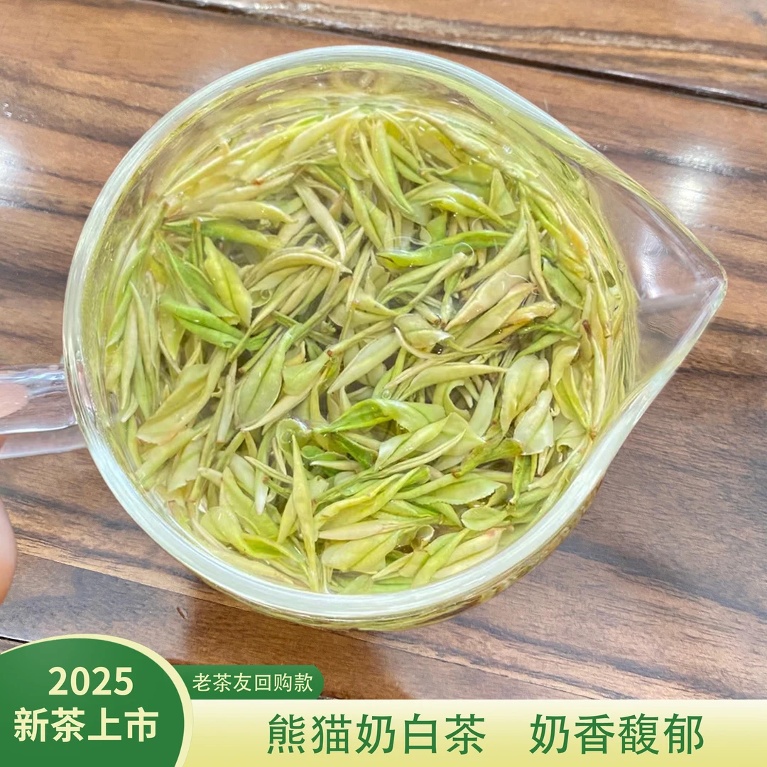 2025新茶明前【奶香白茶】高山茶 奶香浓郁兰香鲜甜 产地茶农直销