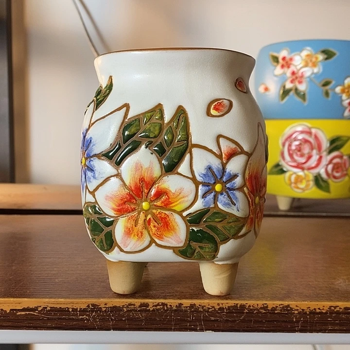 韩式多肉植物花盆