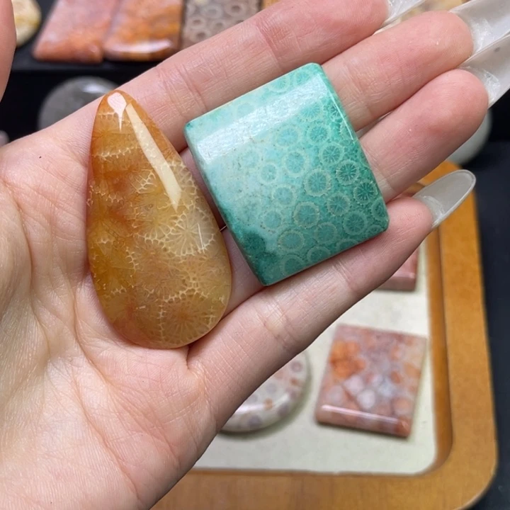 未镶嵌吊坠硅化珊瑚（珊瑚玉）