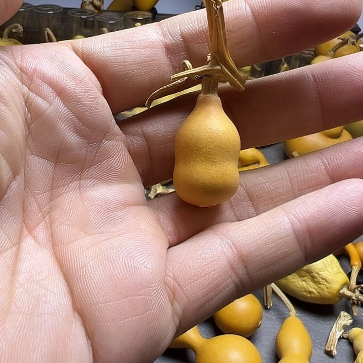 冲***啊小葫芦一物一拍一个