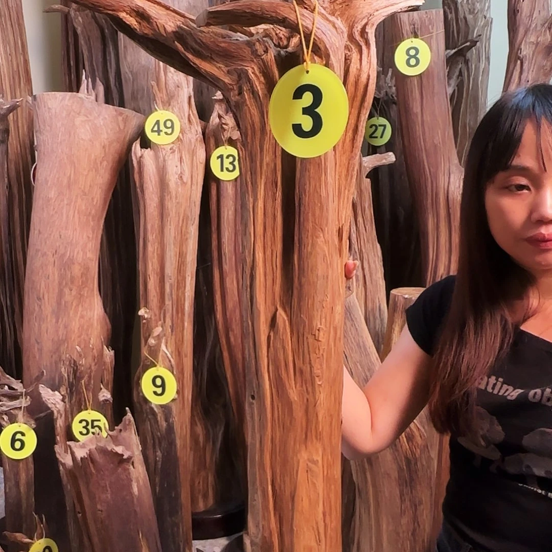 沉香沉香碎屑威*沉香原材料➕底座