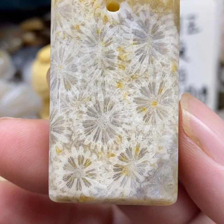 硅化珊瑚（珊瑚玉）未镶嵌颈饰