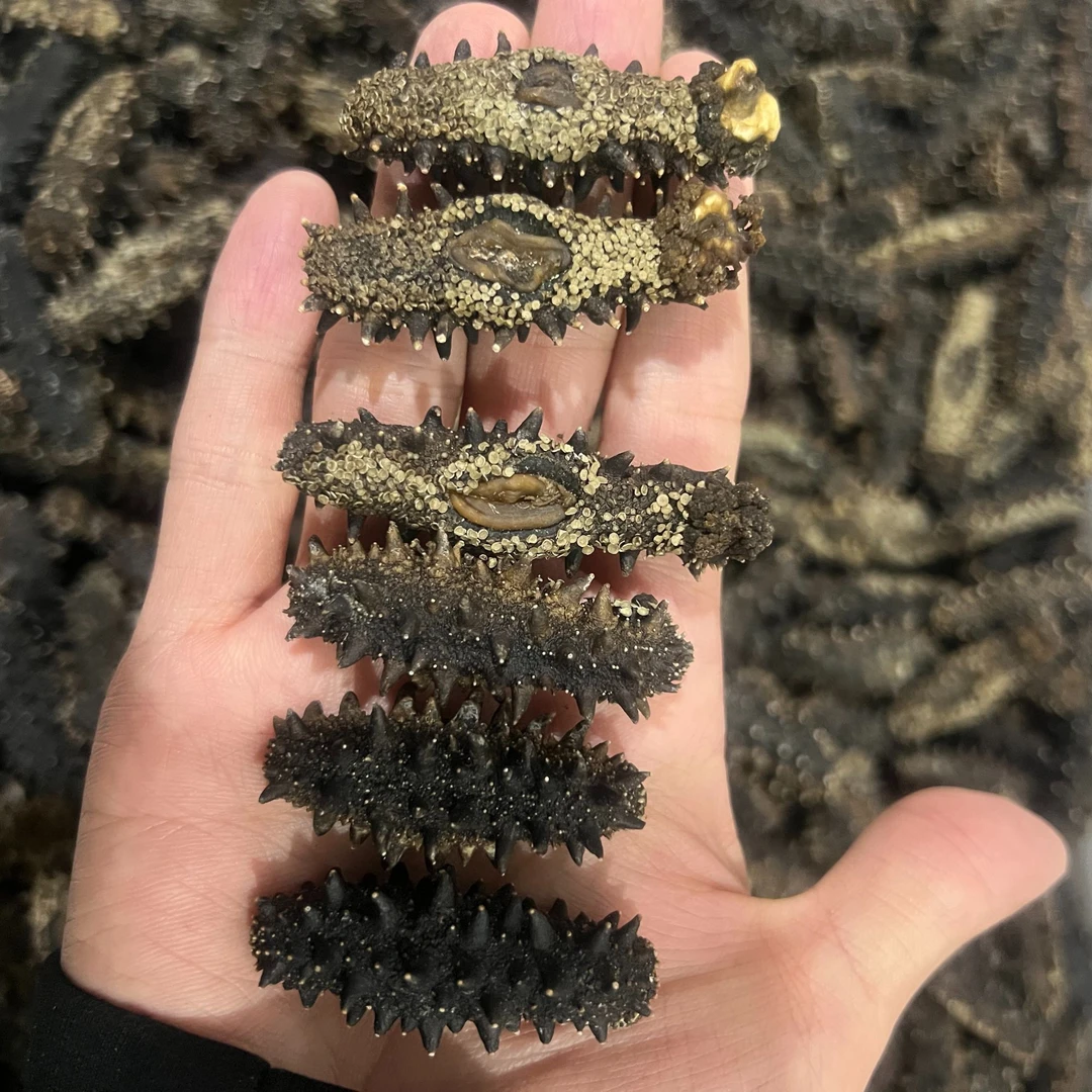 东蚂蚁岛(250g) 深海货到手35头左右 肉厚
