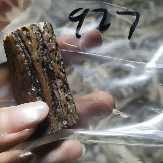 郭***@非金属无鹿角鹿角鹿角鹿角鹿角鹿角