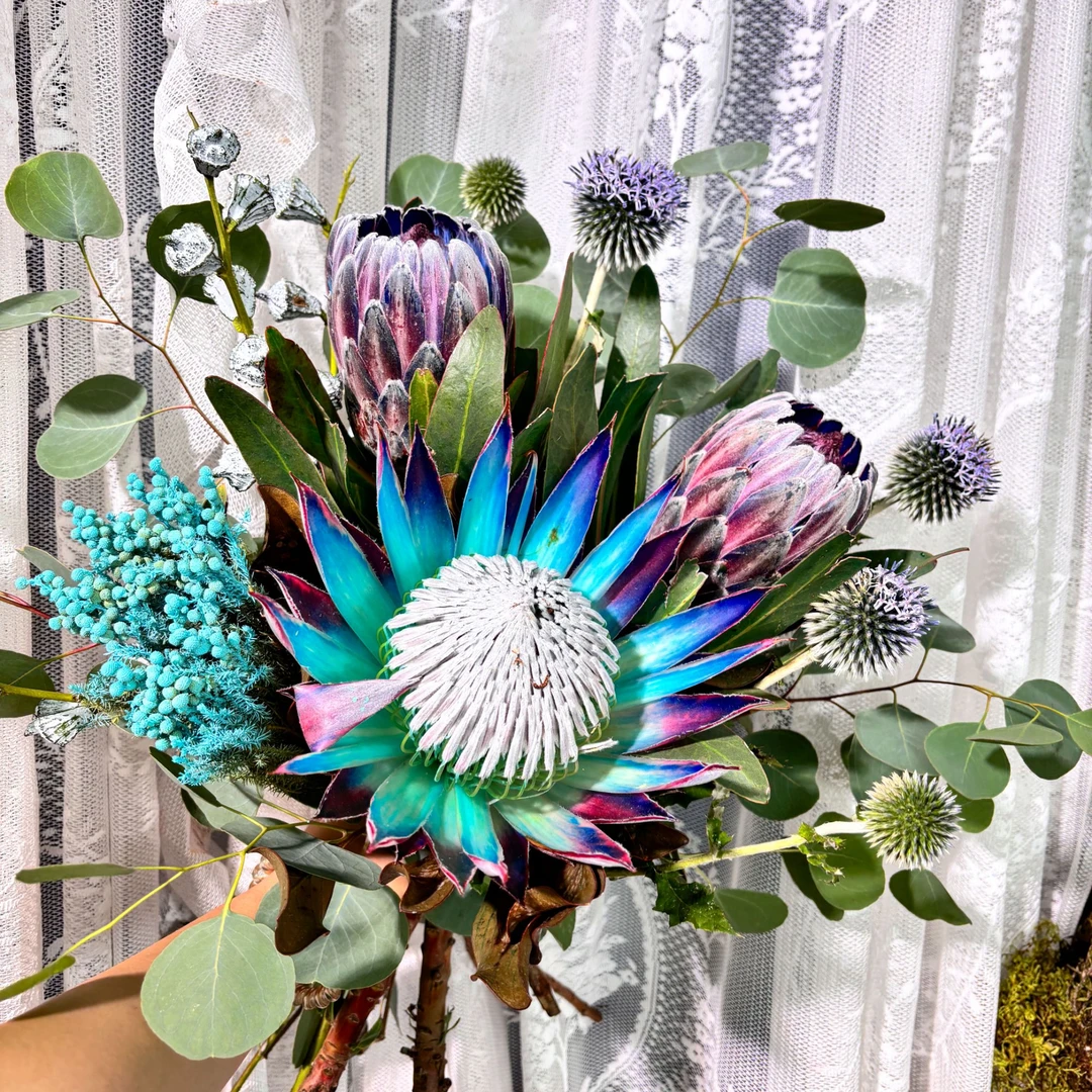 【星辰大海】南非进口花蓝帝王花公主鲜花花束