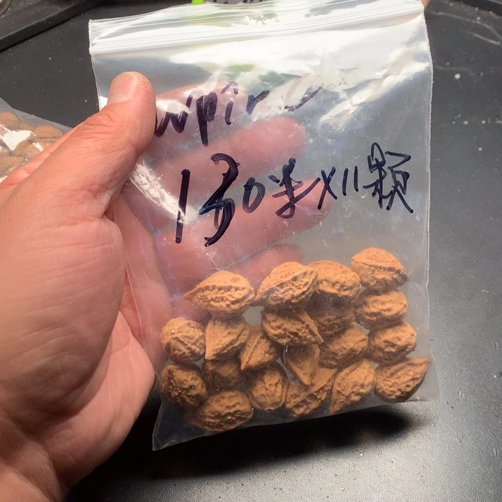 文玩核桃吊坠～****野生精品小核桃散籽