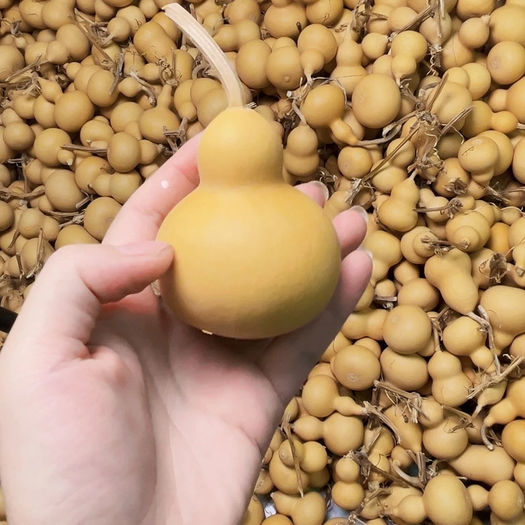 橙****小美葫芦一个小葫芦