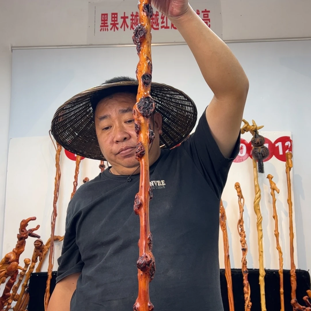 农***江黑果木其他黑果木797