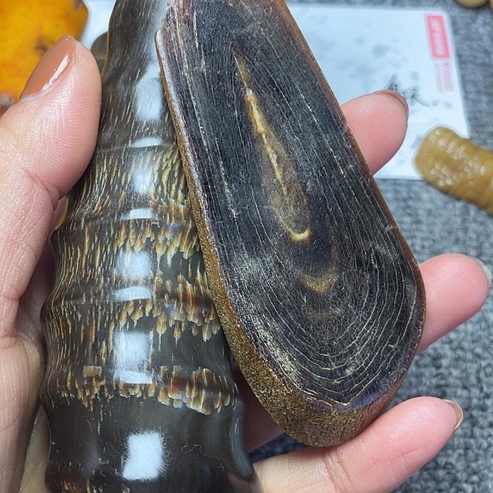 大果紫檀（缅甸花梨）