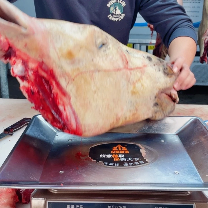 【闪购商品】冷冻保存30天包装河北省