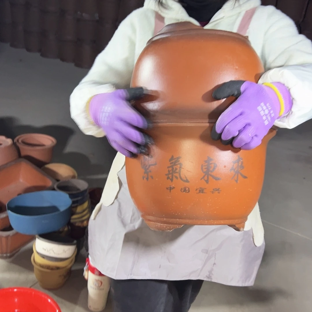 35+35紫气东来花盆花盆