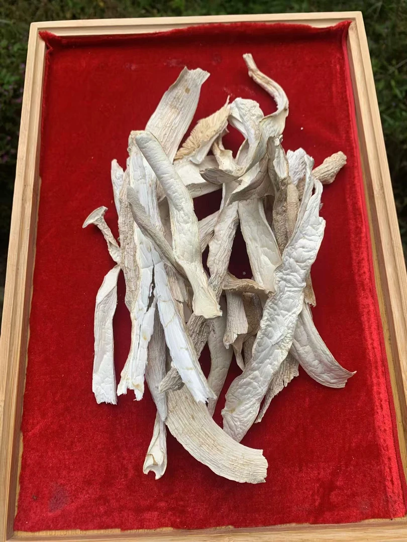 现收土特产 松-茸-干 1000克