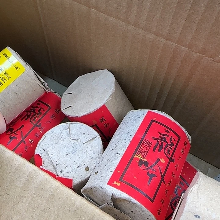 大***树线香龙吟十个hhhh