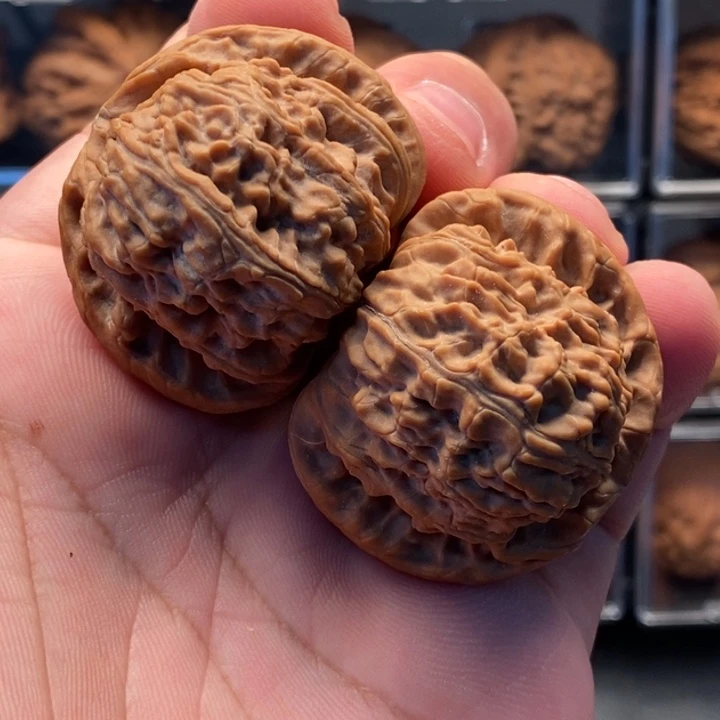 木质类41尺寸全品毕业球白