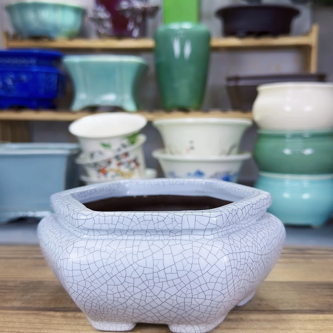 陶瓷花盆特价上新