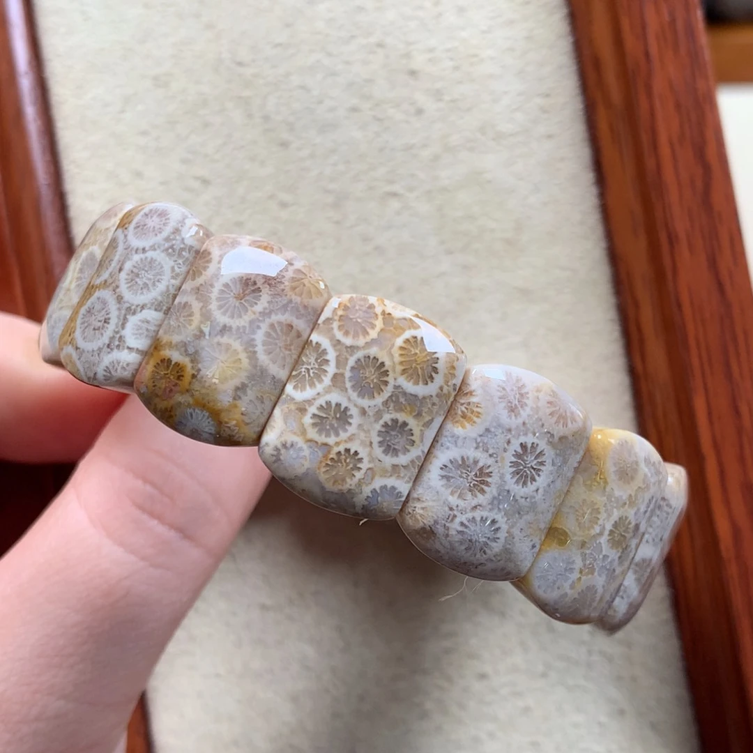 未镶嵌手排漏50/个。02硅化珊瑚（珊瑚玉）