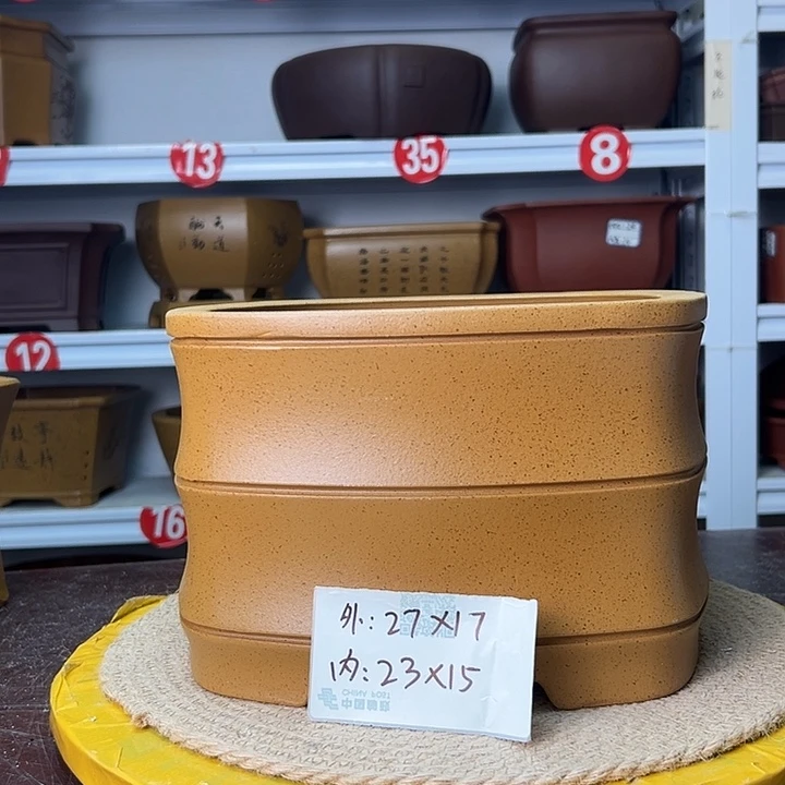 花盆紫砂蛇年大吉