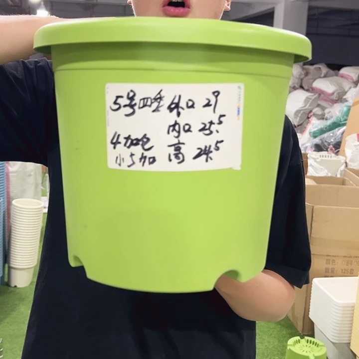 特价5号口29高24.5果绿色5只无托