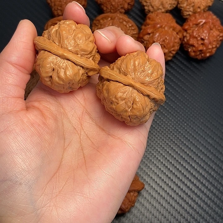 木质类39蛤麻。