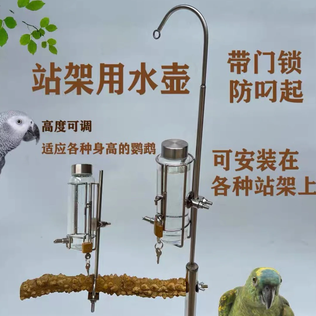 鹦鹉站架水壶防叼水壶撞针式可调高硼硅玻璃水壶宠物鸟鹦鹉饮水器