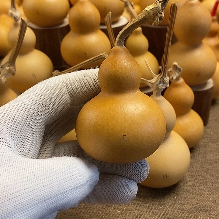文玩葫芦 完美主义者 慎拍15
