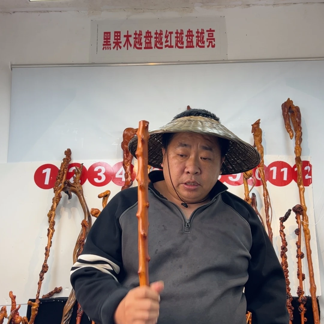 其他黑果木黑果木401