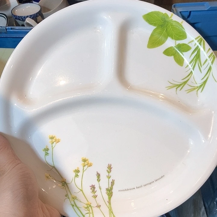 瓷片还爱和海底车哈