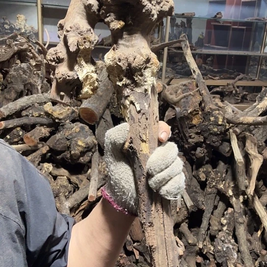 香榧木凉火琉璃的故事是一名琉璃，播