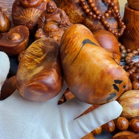 松木（琥珀木）其他