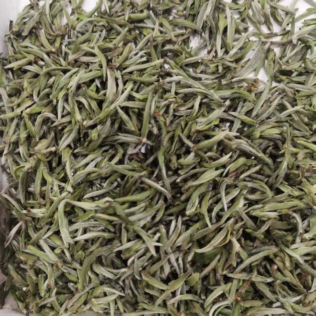 2025年太姥山荒野白毫银针福鼎白茶500g/罐