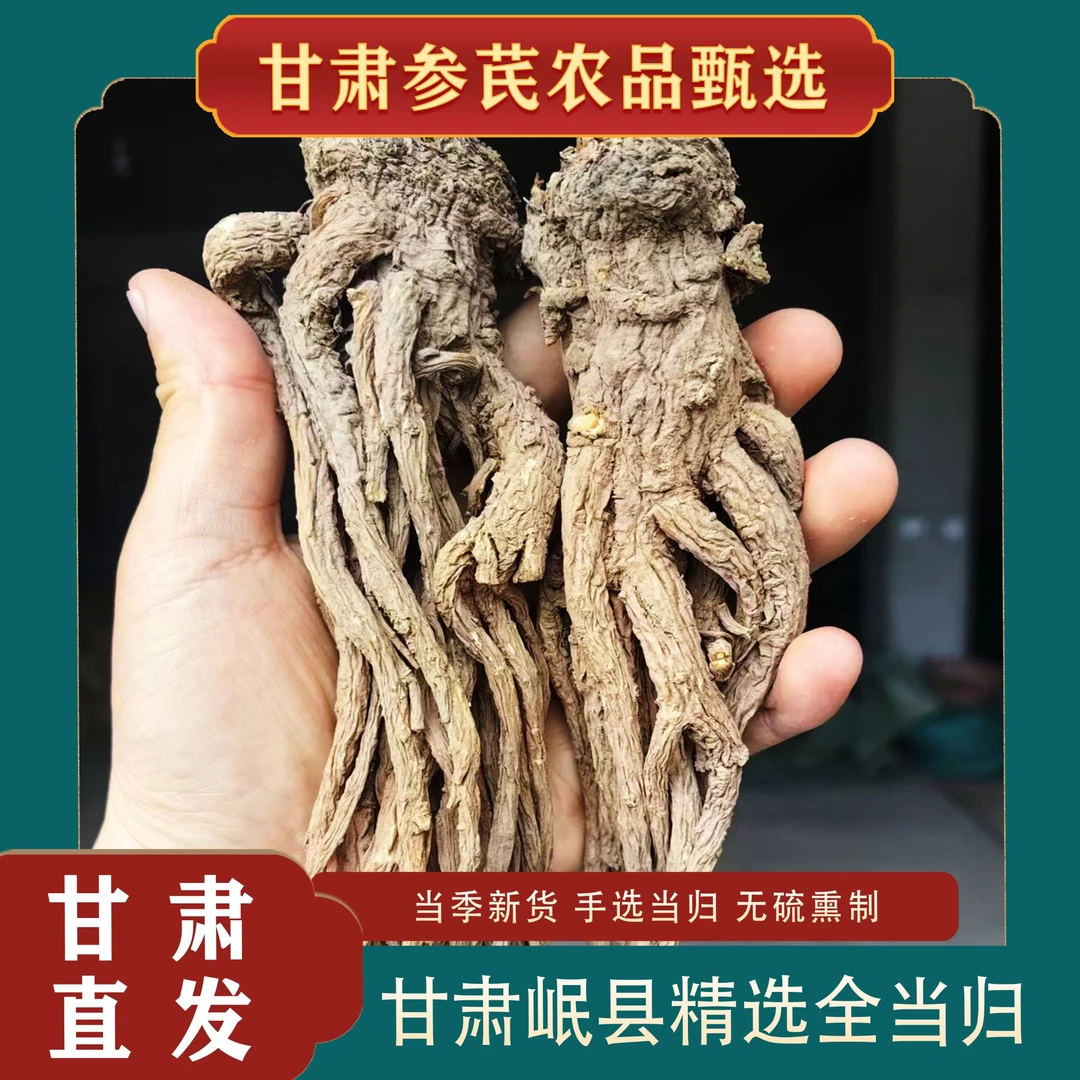 【甘肃岷县当归头】纯天然中药材无熏硫直发包邮可切片养生滋补