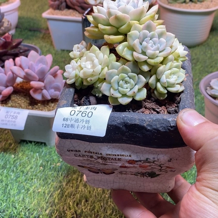 0760啊啊啊啊啊啊啊啊