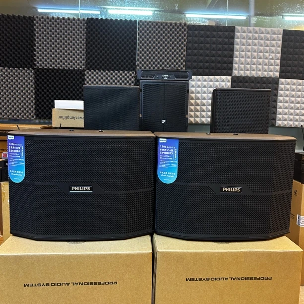 95新  飞利浦 10寸卡包音响 一对+二合一功放+话筒 不包邮