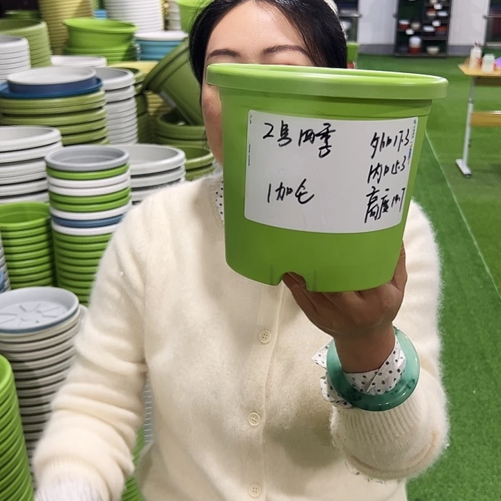 特价2号四季口17高15果绿10支无托